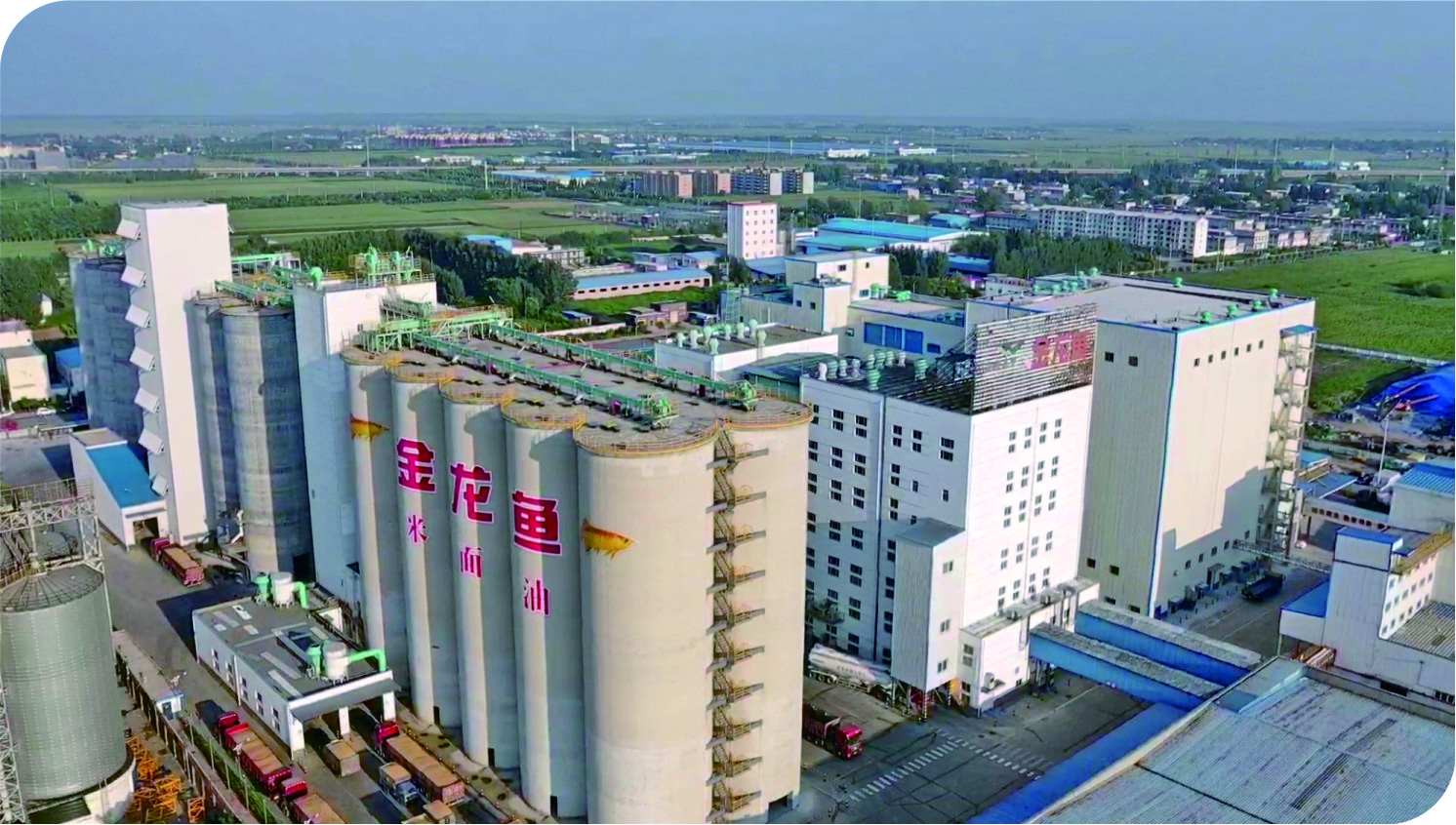 華泰承建益海嘉里油脂設備項目